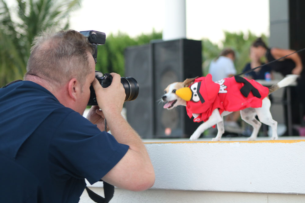 Pet Masquerade 2018 photo - Duval Street, Key West